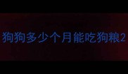 狗狗多少个月能吃狗粮