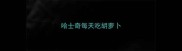 哈士奇每天吃胡萝卜