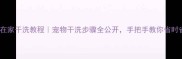 狗狗在家干洗教程宠物干洗步骤全公开手把手教你省时省力