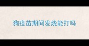 狗疫苗期间发烧能打吗