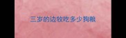 三岁的边牧吃多少狗粮