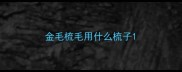 金毛梳毛用什么梳子