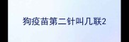 狗疫苗第二针叫几联