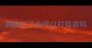 狗狗打了虫可以打疫苗吗