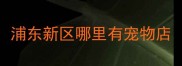 浦东新区哪里有宠物店