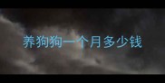 养狗狗一个月多少钱