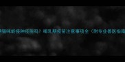 孕期猫咪能接种疫苗吗哺乳期疫苗注意事项全附专业兽医指南