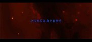 小拉布拉多身上有杂毛