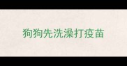 狗狗先洗澡打疫苗
