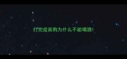 打完疫苗狗为什么不能喝酒