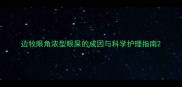 边牧眼角浓型眼屎的成因与科学护理指南