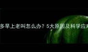 拉布拉多早上老叫怎么办5大原因及科学应对方案