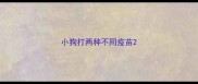 小狗打两种不同疫苗