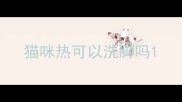 猫咪热可以洗脚吗