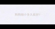 狗狗细小多久能好