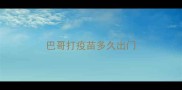 巴哥打疫苗多久出门