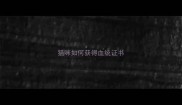 猫咪如何获得血统证书