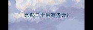 比熊三个月有多大