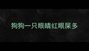 狗狗一只眼睛红眼屎多