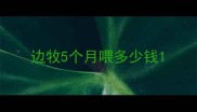 边牧5个月喂多少钱
