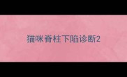 猫咪脊柱下陷诊断