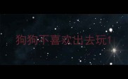 狗狗不喜欢出去玩
