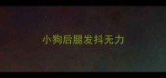 小狗后腿发抖无力