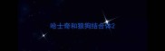 哈士奇和狼狗结合体