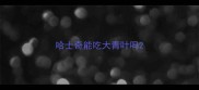 哈士奇能吃大青叶吗
