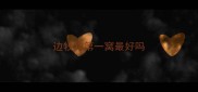 边牧狗第一窝最好吗