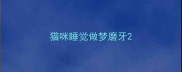 猫咪睡觉做梦磨牙