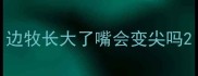 边牧长大了嘴会变尖吗