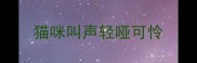 猫咪叫声轻哑可怜