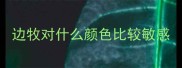 边牧对什么颜色比较敏感