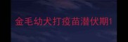 金毛幼犬打疫苗潜伏期