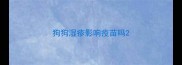 狗狗湿疹影响疫苗吗