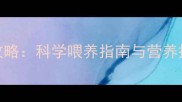 产后哈士奇饮食全攻略科学喂养指南与营养搭配技巧附食谱