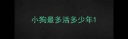 小狗最多活多少年