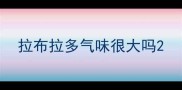 拉布拉多气味很大吗
