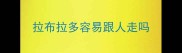 拉布拉多容易跟人走吗