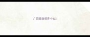 广西宠物领养中心