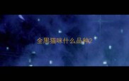 全黑猫咪什么品种