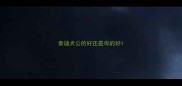 泰迪犬公的好还是母的好