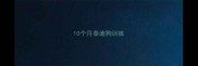 10个月泰迪狗训练