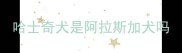 哈士奇犬是阿拉斯加犬吗
