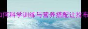 科学喂养指南如何科学训练与营养搭配让拉布拉多犬肌肉强健
