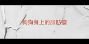 狗狗身上的脂肪瘤