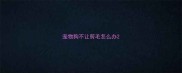 宠物狗不让剪毛怎么办