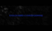 拉布拉多犬脚掌大小的标准与品种特征