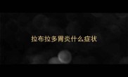 拉布拉多胃炎什么症状